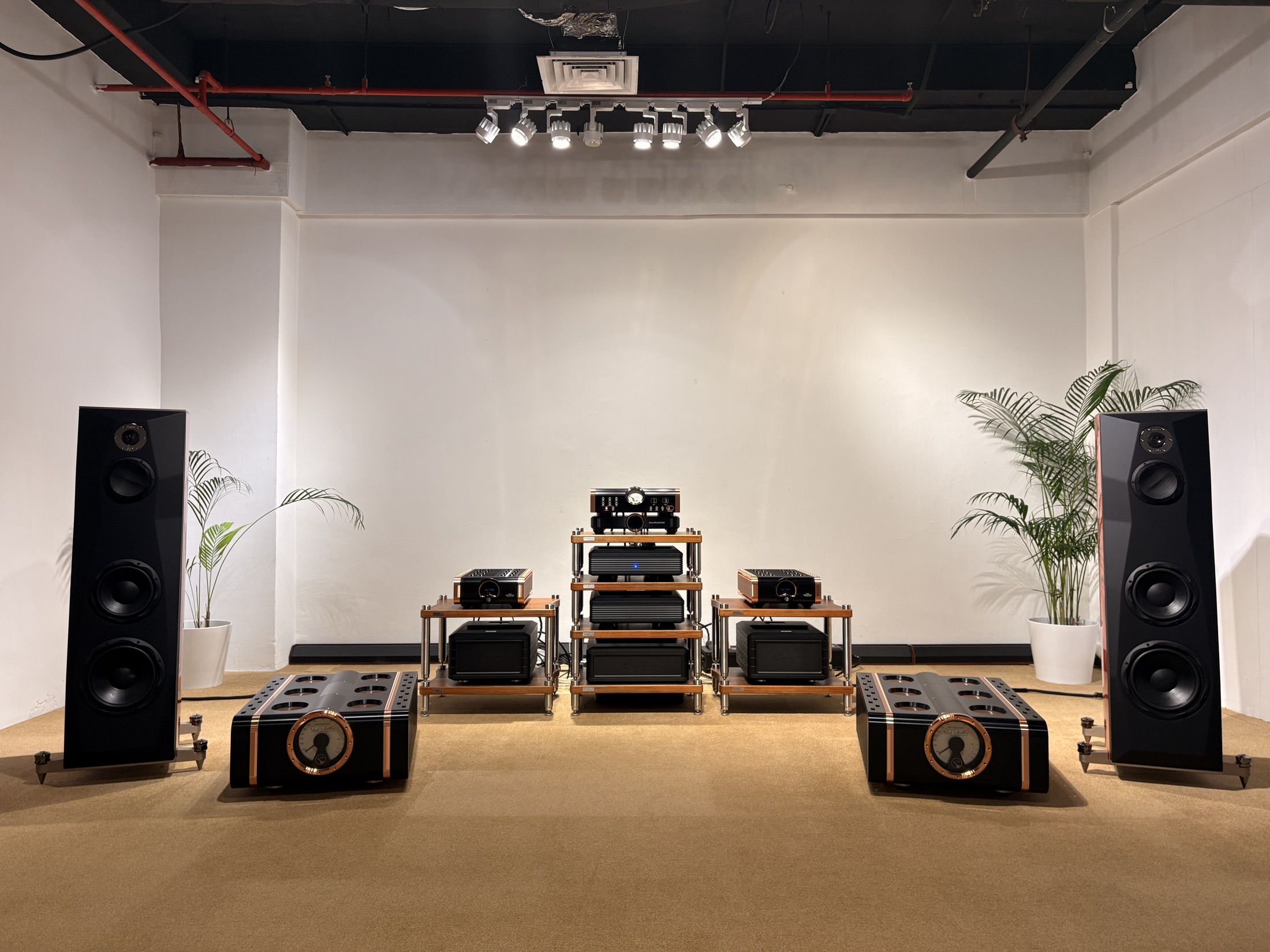 Ultra high end system room